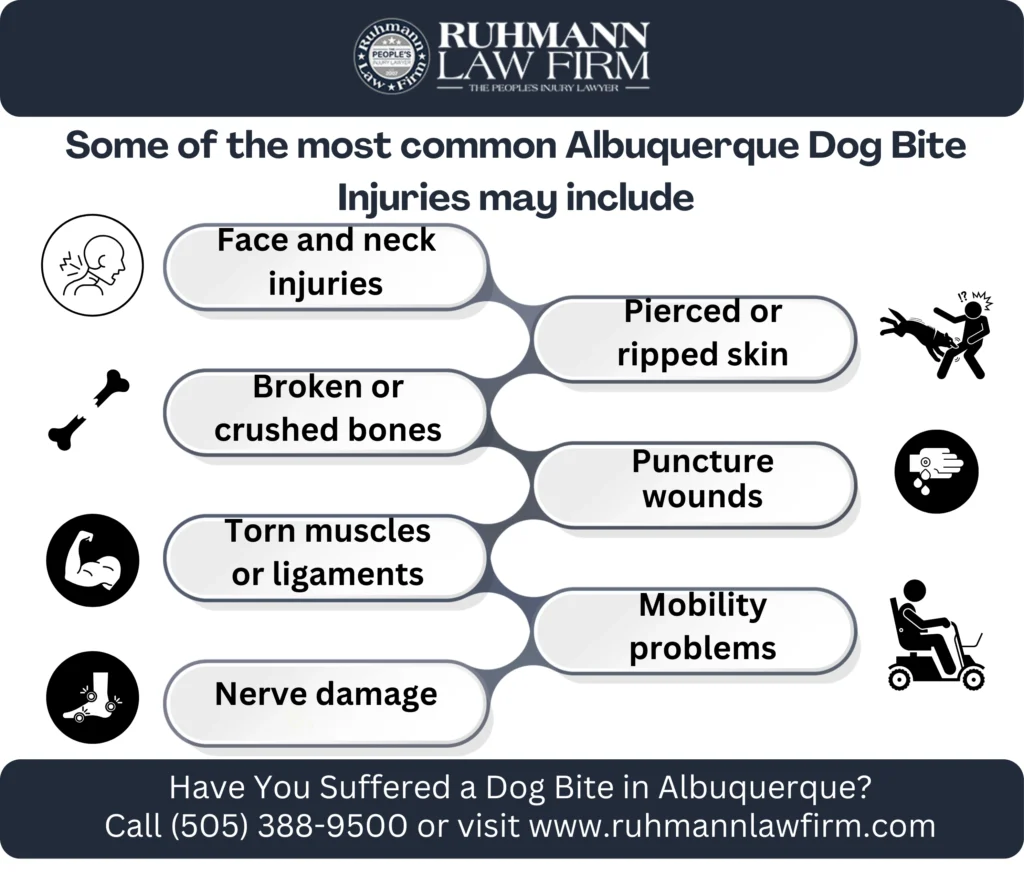 This infographic shows that Common Dog Bite Injuries in Albuquerque